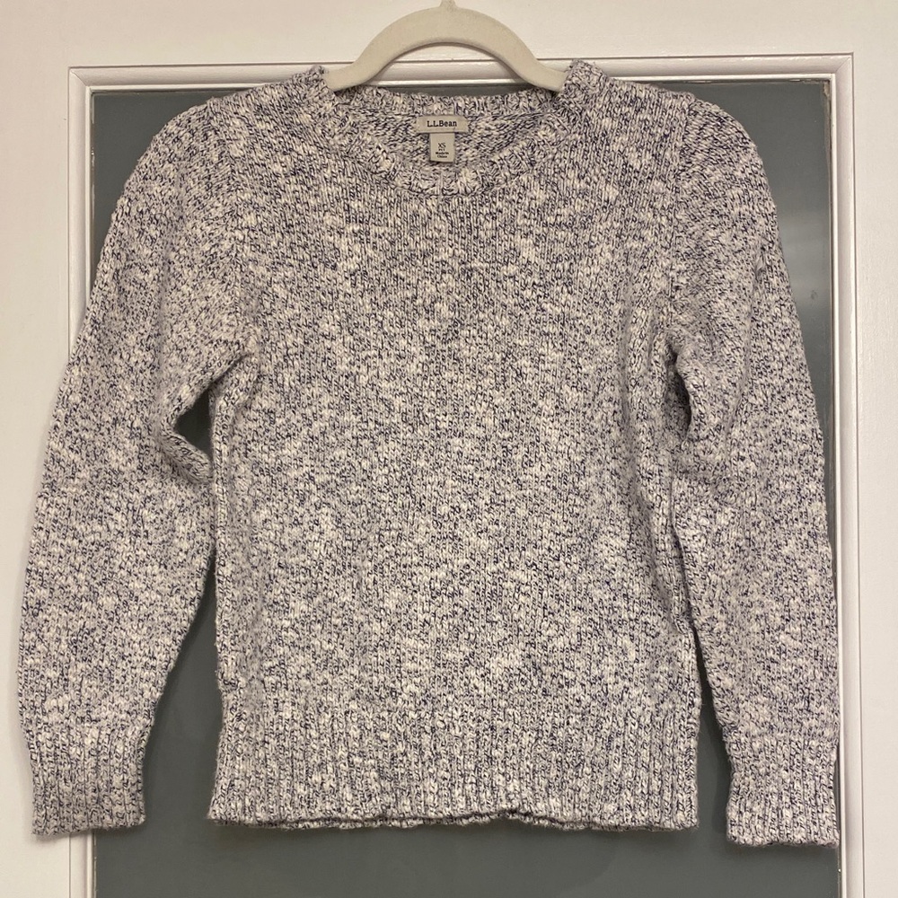 L.L. Bean White and Blue Knit Sweater